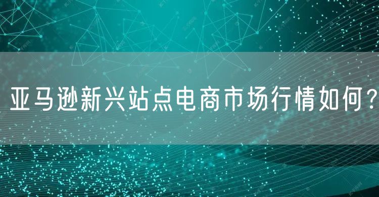 亚马逊新兴站点电商市场行情如何？