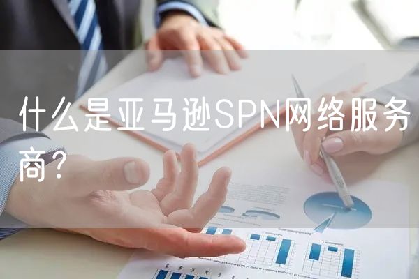 什么是亚马逊SPN网络服务商？