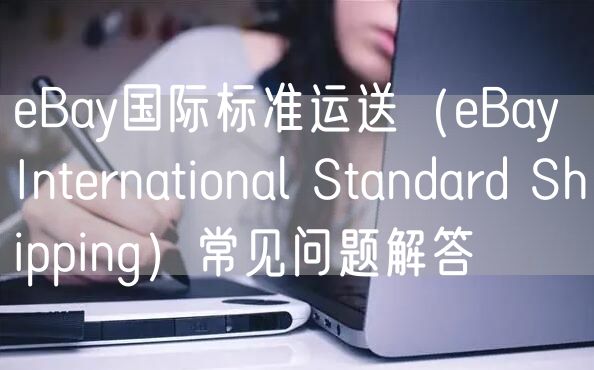 eBay国际标准运送（eBay International Standard S