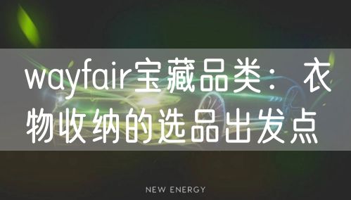 wayfair宝藏品类：衣物收纳的选品出发点