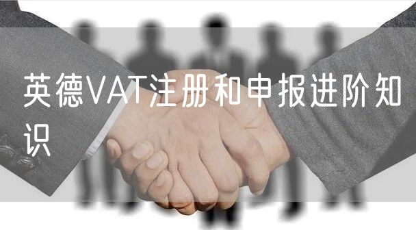 英德VAT注册和申报进阶知识