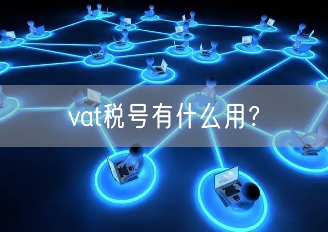 vat税号有什么用？