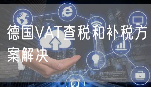 德国VAT查税和补税方案解决