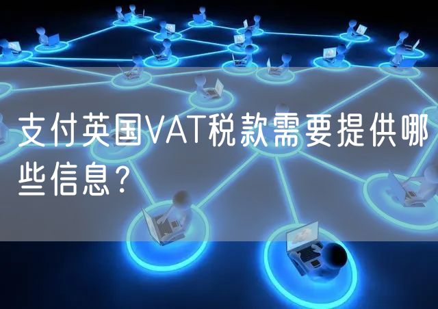 支付英国VAT税款需要提供哪些信息？