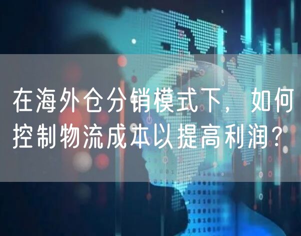 在海外仓分销模式下，如何控制物流成本以提高利润？