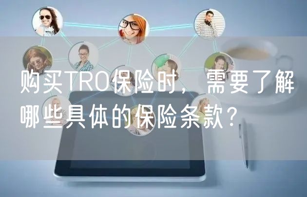 购买TRO保险时，需要了解哪些具体的保险条款？