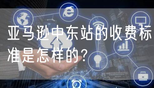 亚马逊中东站的收费标准是怎样的？