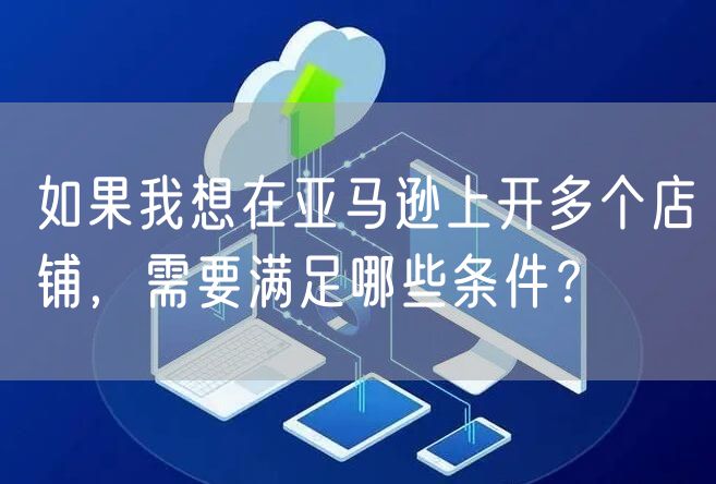 如果我想在亚马逊上开多个店铺，需要满足哪些条件？