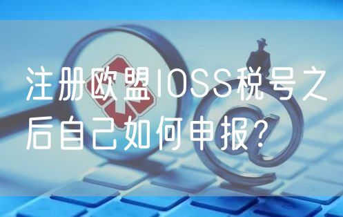 注册欧盟IOSS税号之后自己如何申报？