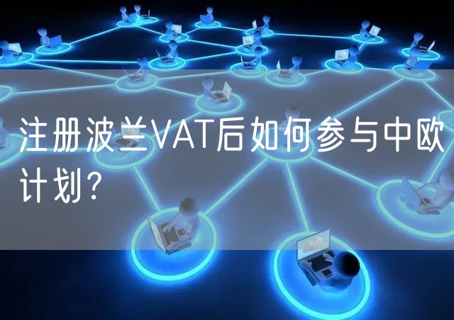 注册波兰VAT后如何参与中欧计划？